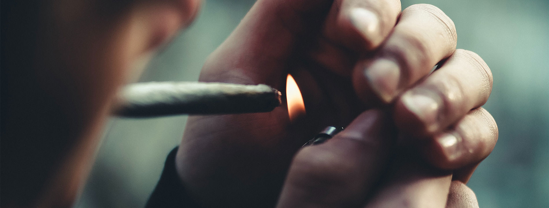Consumo de cannabis