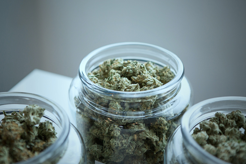 Cannabis medicinal