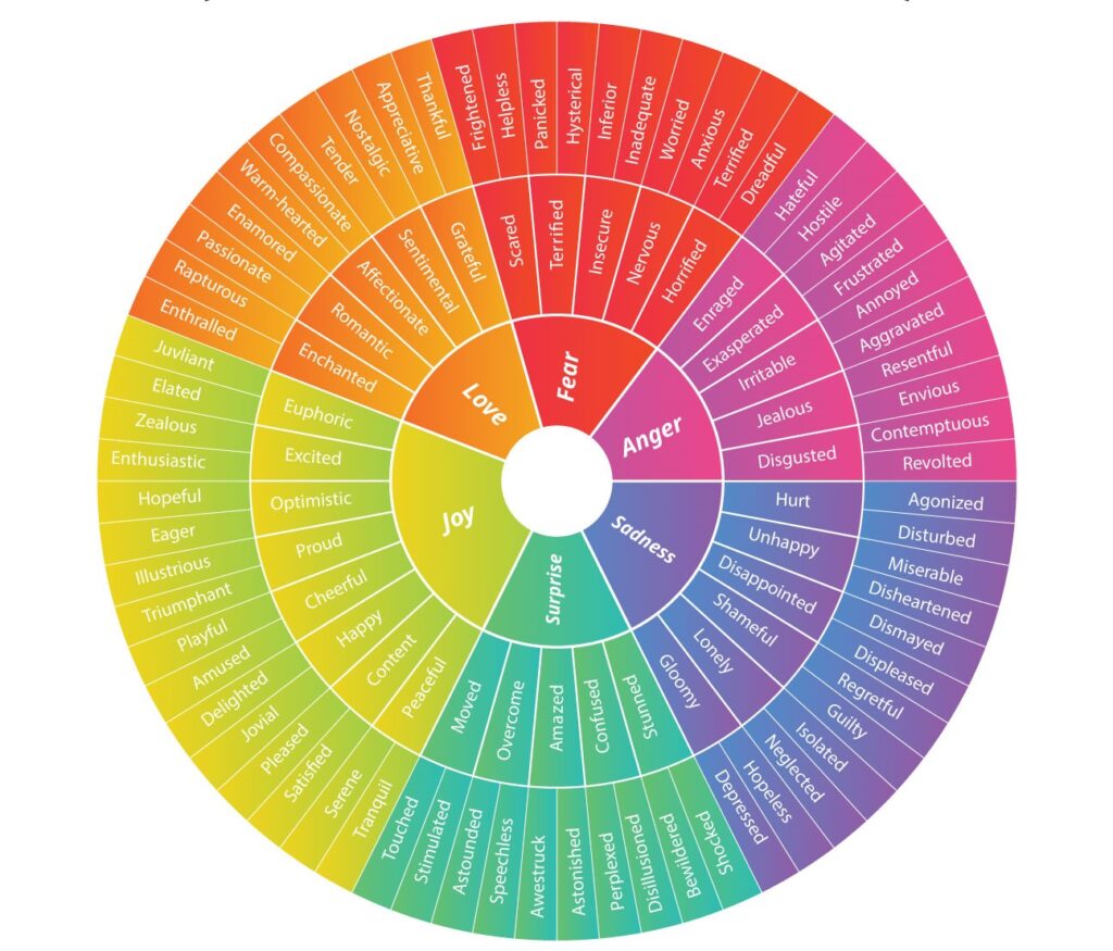 ¿Qué es la rueda de las emociones?